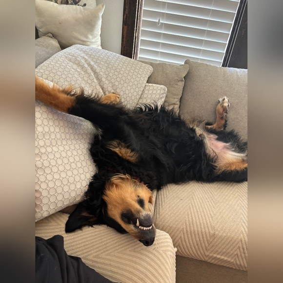 I'M LIVE! - Picture 8 of 9